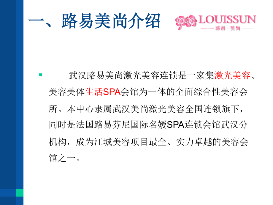 武汉路易美尚_激光美容.ppt_第2页
