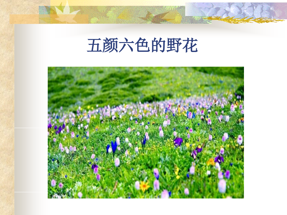 乡下孩子_冀教版.ppt_第2页
