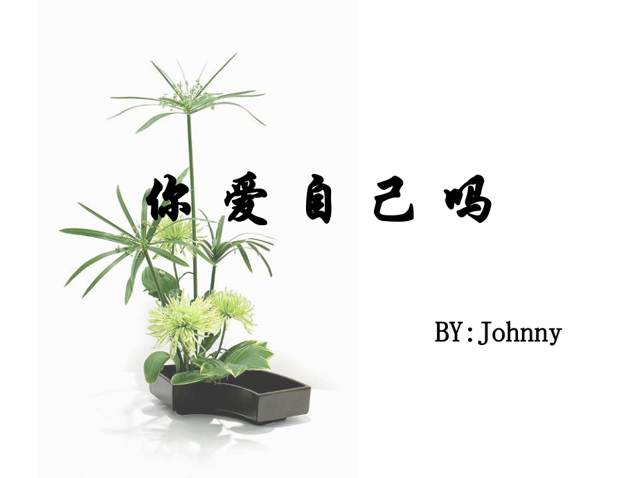 你爱自己吗.ppt_第1页