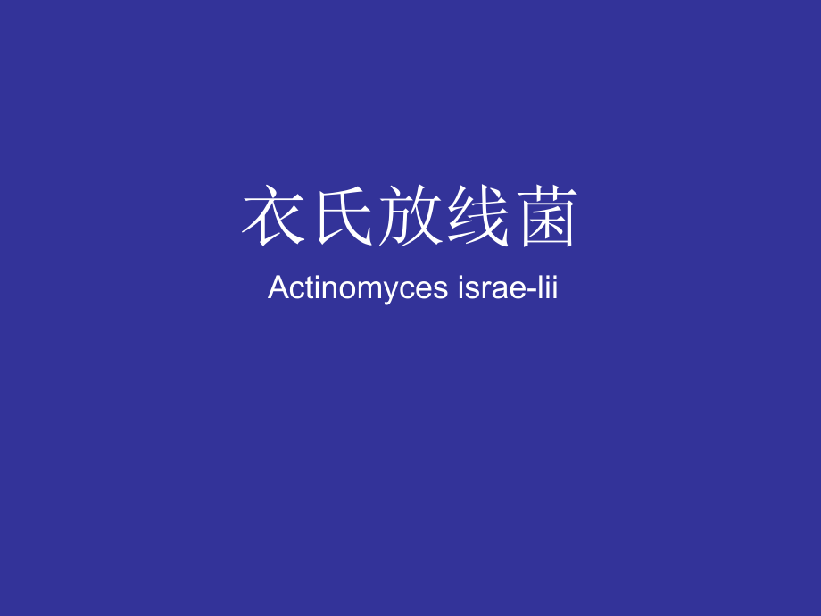 衣氏放线菌.ppt_第1页