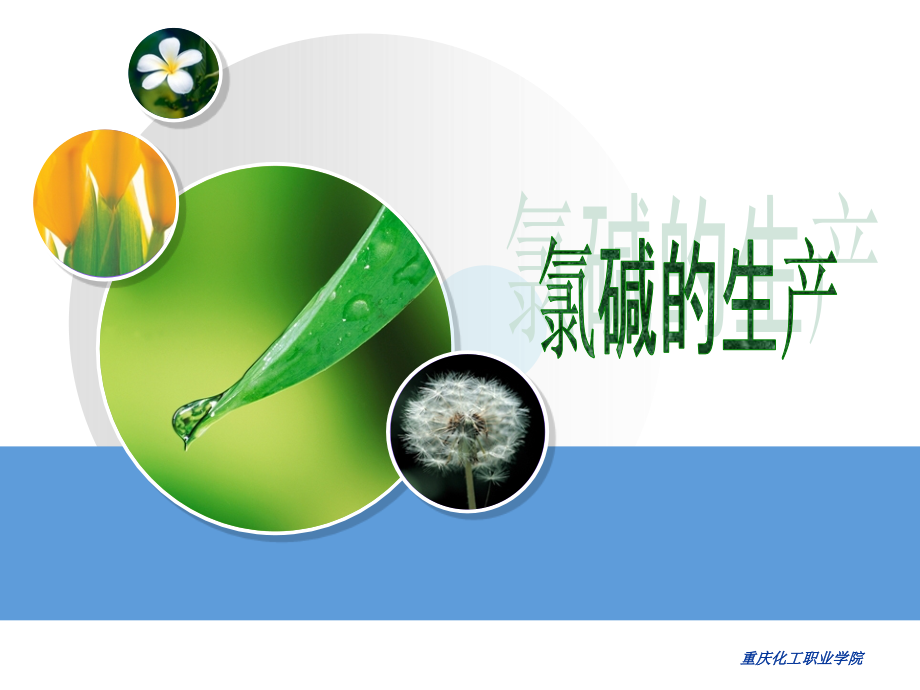氯碱的生产.ppt_第1页