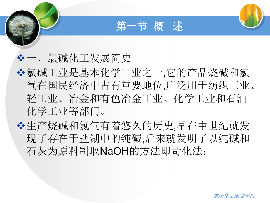 氯碱的生产.ppt_第2页
