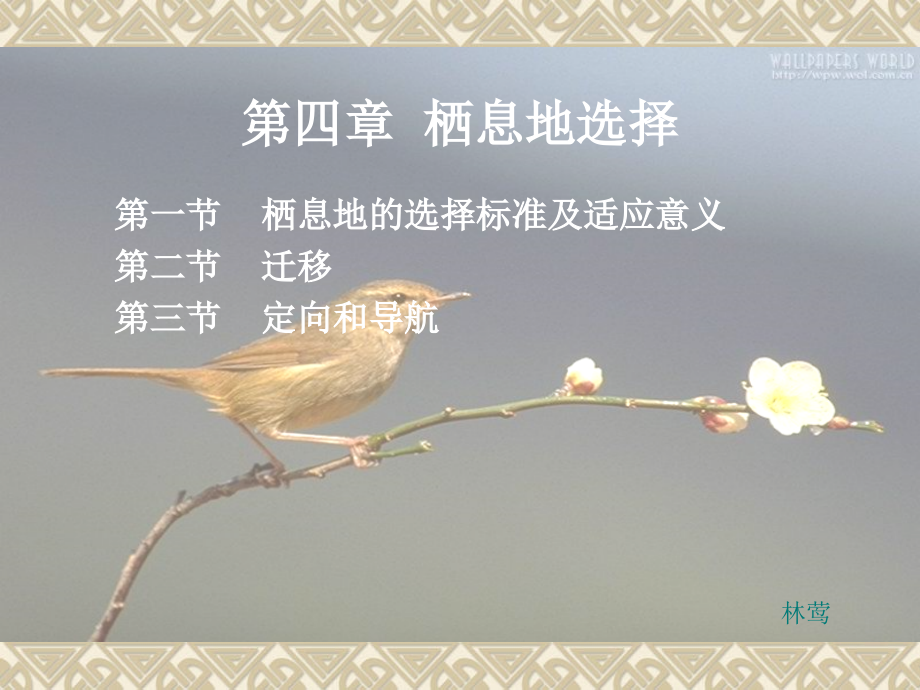 第四章栖息地选择.ppt_第1页