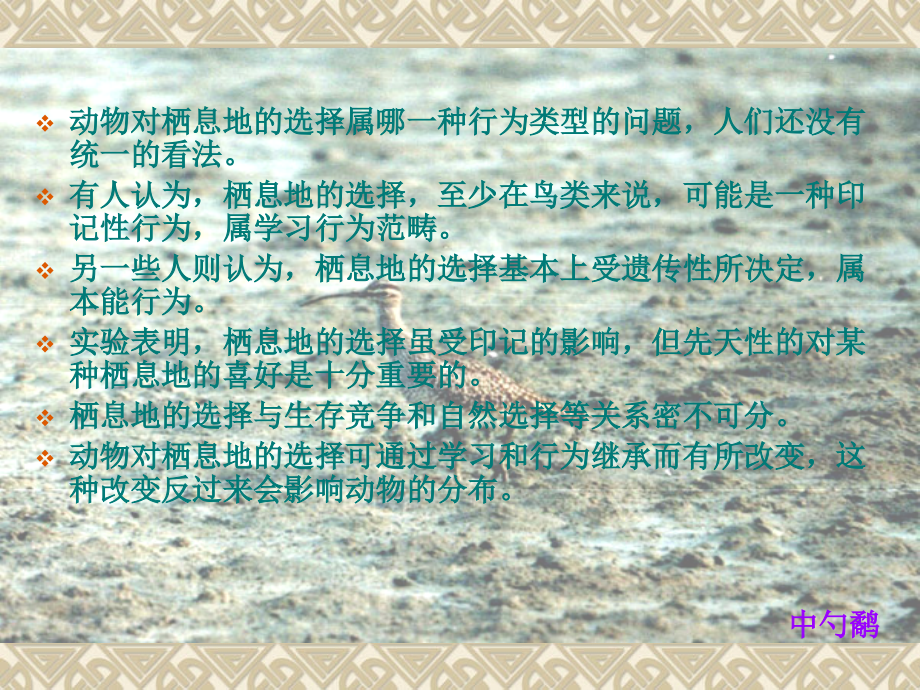 第四章栖息地选择.ppt_第2页