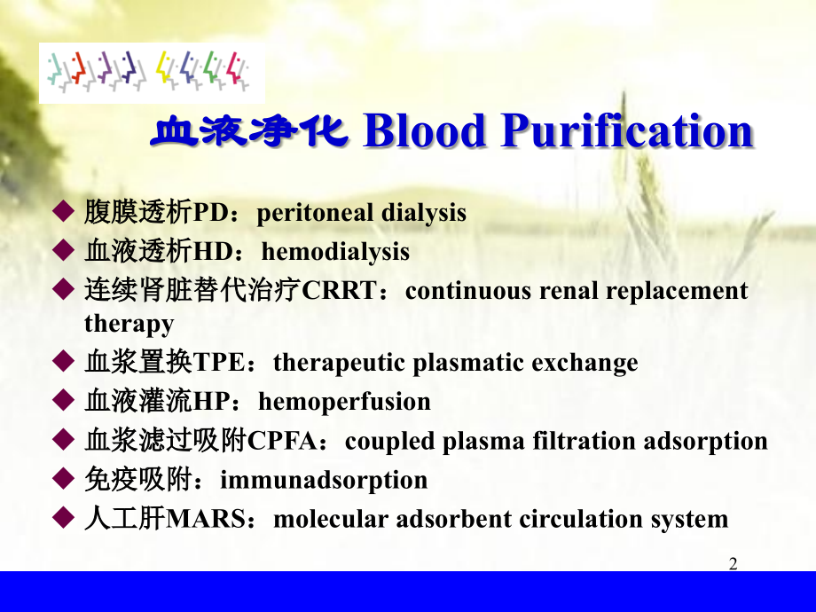 CRRT原理简介.ppt_第2页