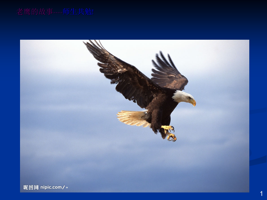 人力三级 基础知识.ppt_第1页