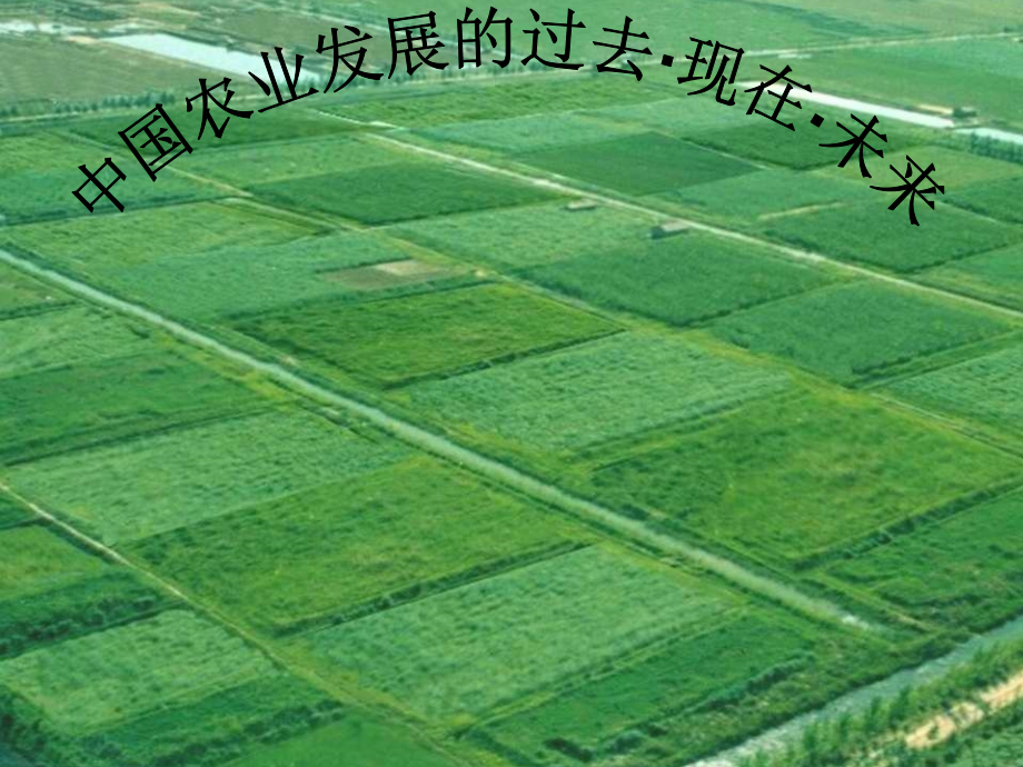 农业的过去现在和未来.ppt_第1页