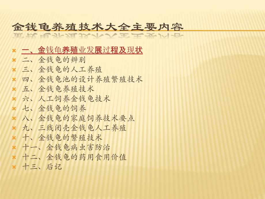 石金钱龟养殖_金钱龟养殖技术大全简介.ppt_第2页