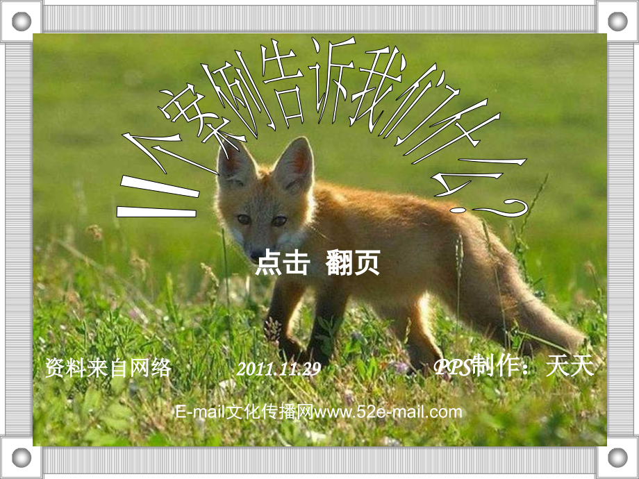 a-十一个案例告诉我们什么.ppt_第1页