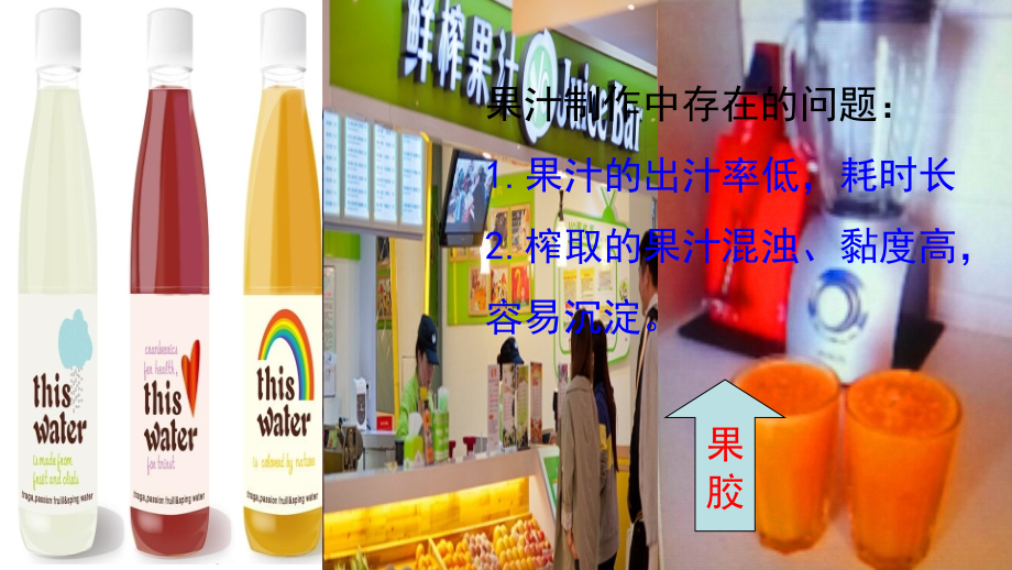 边做边学制备果胶酶并观察其作用-(2).ppt_第2页