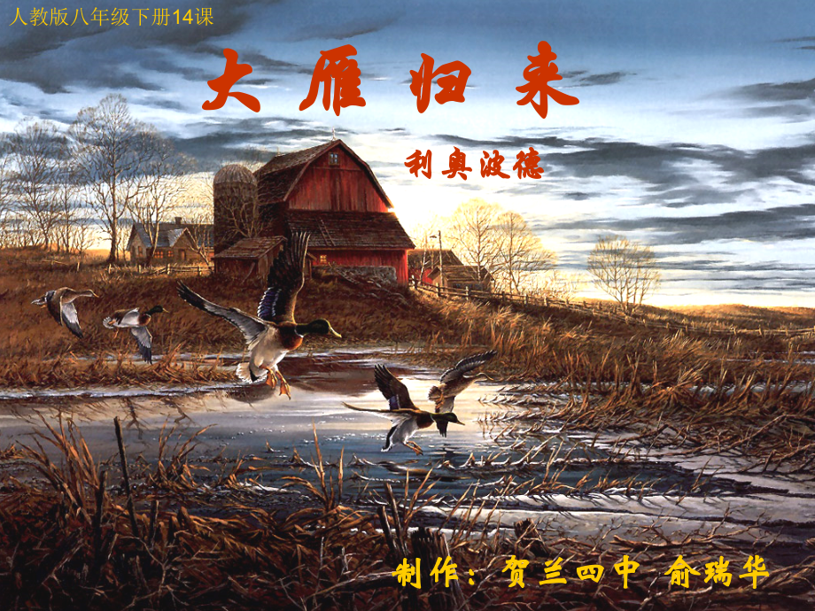 大雁归来ppt.ppt_第1页