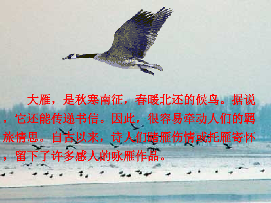 大雁归来ppt.ppt_第2页