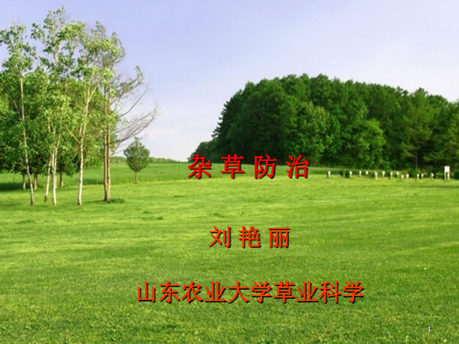 杂草防治研究方法.ppt_第1页