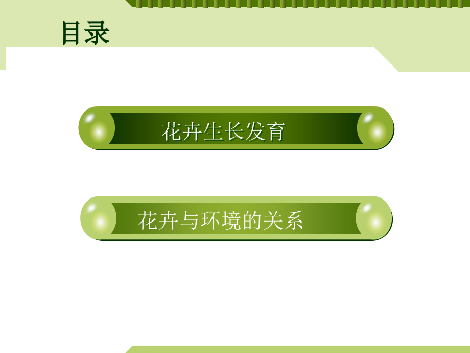 园林景观花卉学.ppt_第2页