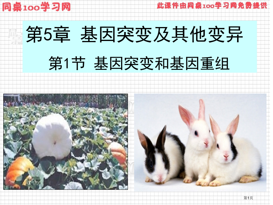 基因突变和其他变异节基因突变和基因重组.pptx_第1页