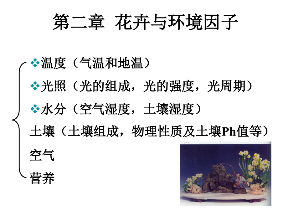 花卉与环境因子.ppt_第1页