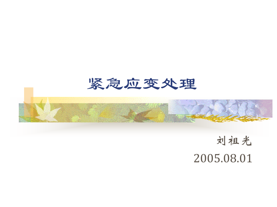 紧急应变处理.ppt_第1页
