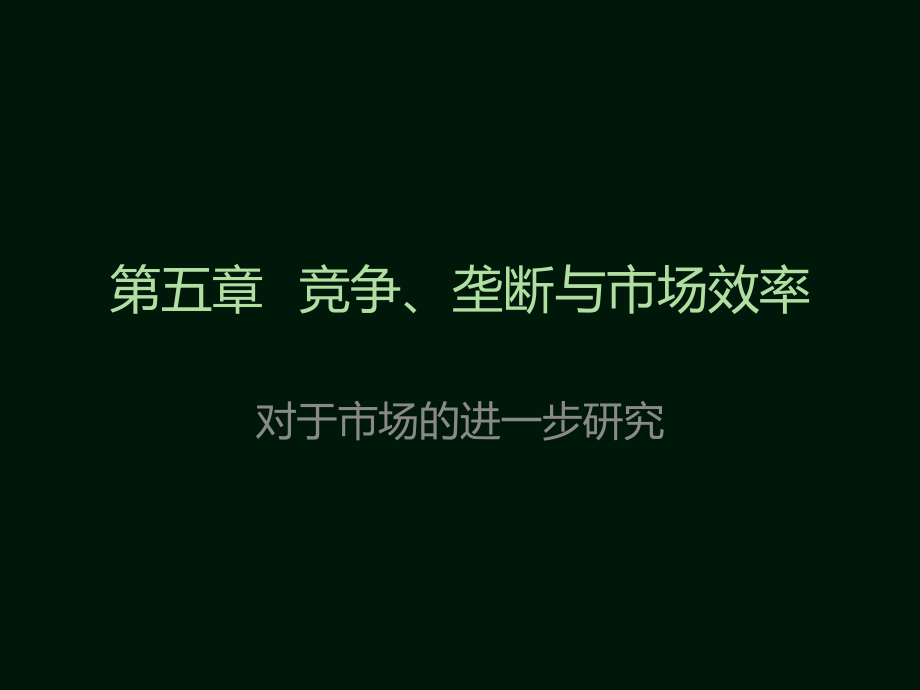 管理经济学 第五章竞争、垄断与市场效率.ppt_第1页