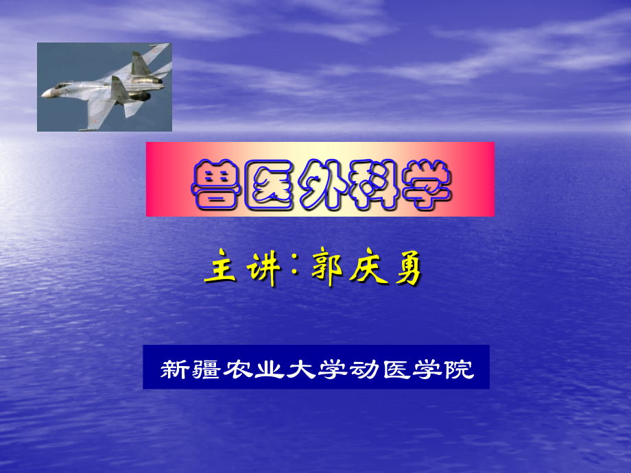 外科-概述,感染.ppt_第1页