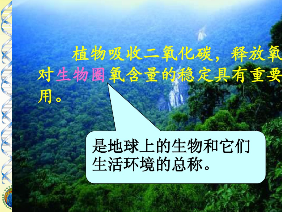 第二节绿色植物与生物圈的物质循环.pptx_第2页