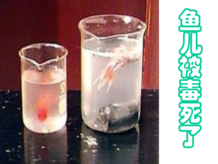 有趣的电动玩具.ppt_第2页