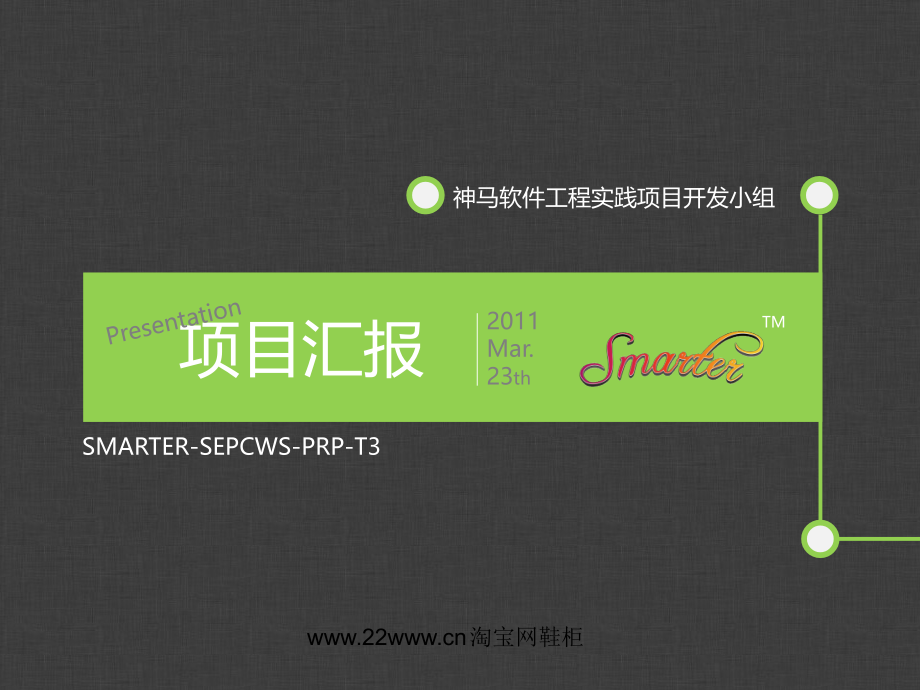项目汇报PPT模板.ppt_第1页