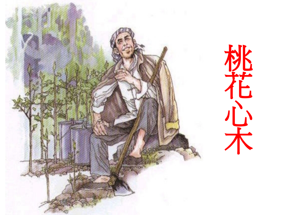 桃花心木演示1.ppt_第1页