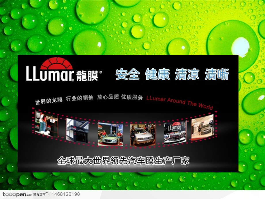 专业汽车贴膜,汽车贴膜步骤.ppt_第1页