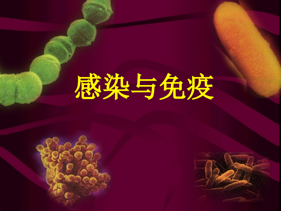感染和免疫专题知识讲座.pptx_第1页