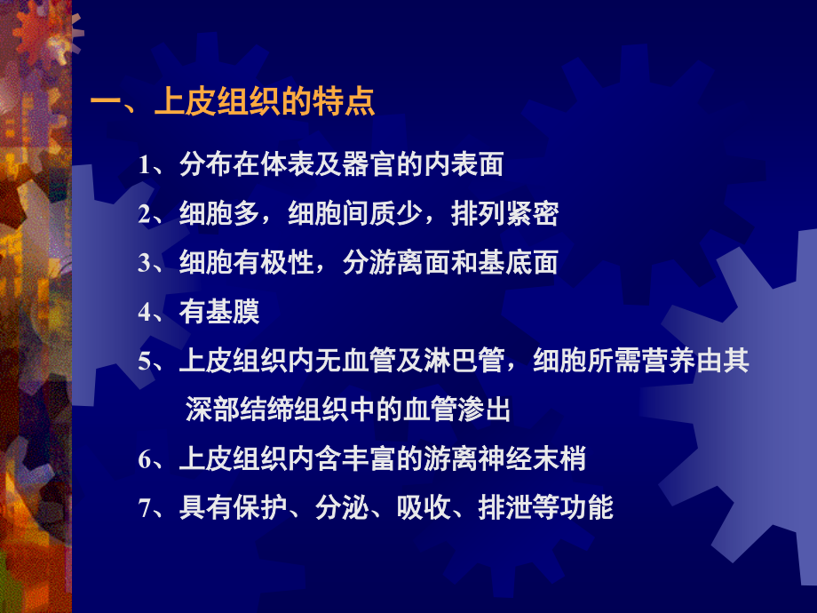 上皮组织切片图库.ppt_第2页