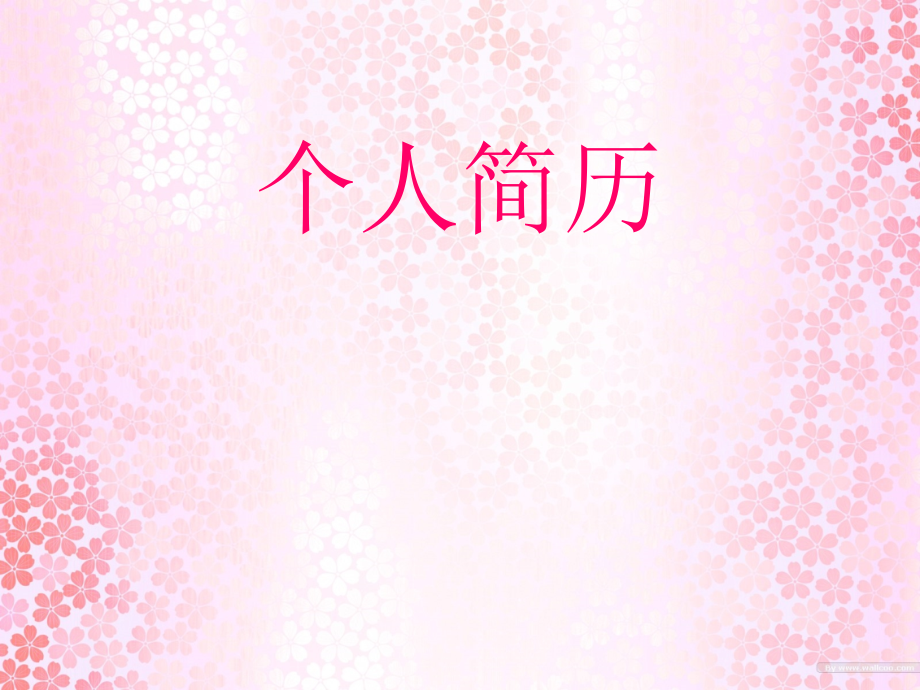 个人简历11.ppt_第1页