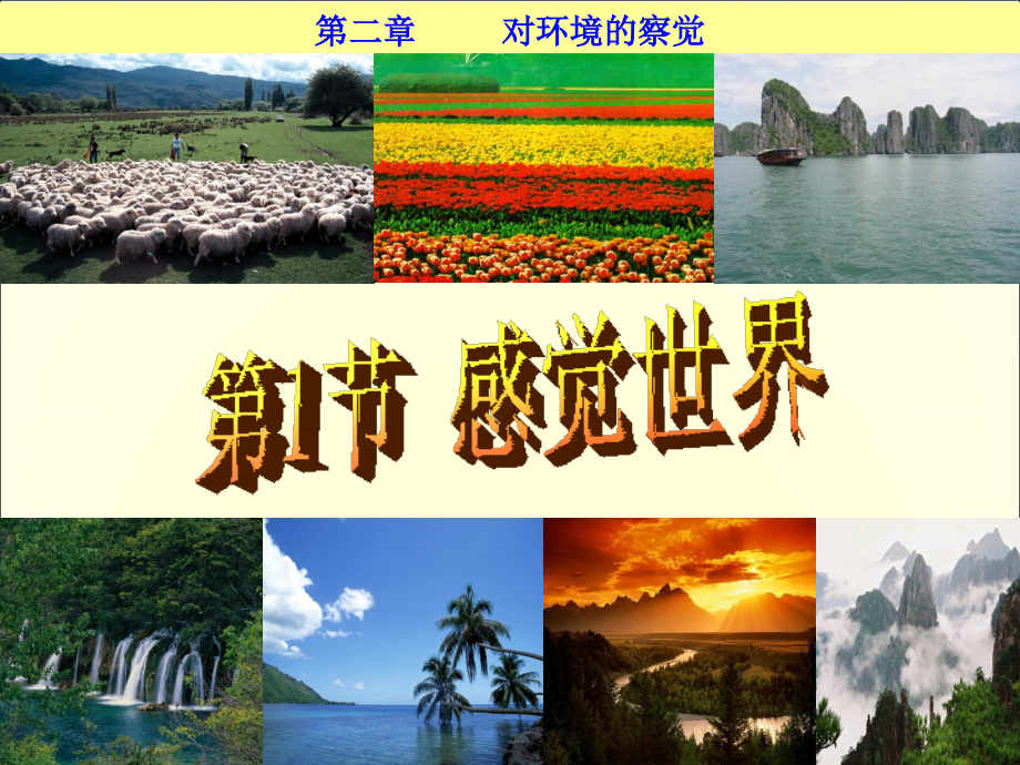 《第1节-感觉世界》课件1.ppt_第1页