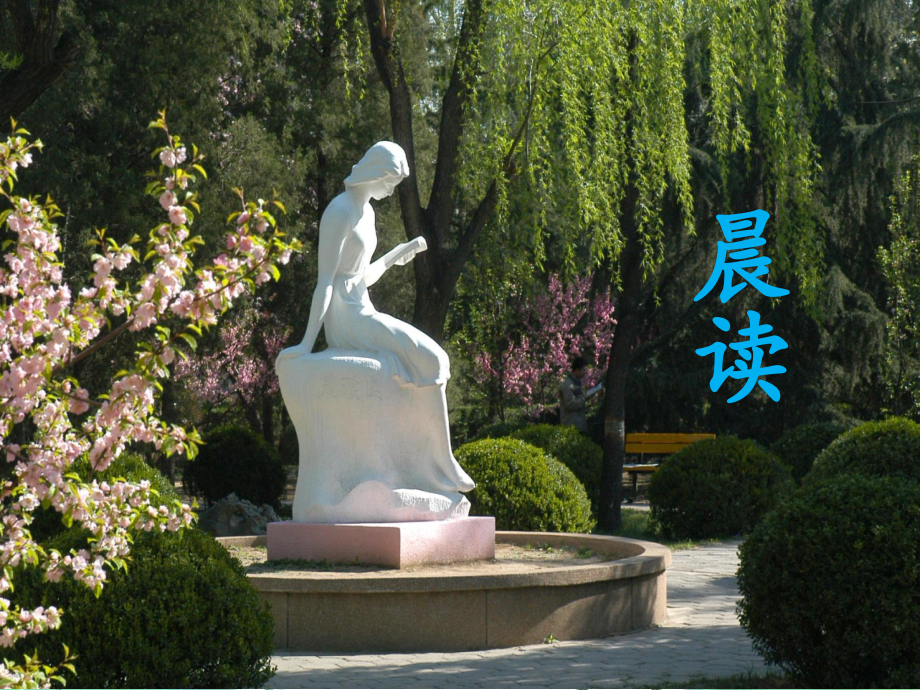 《晨读》课件-1.ppt_第1页