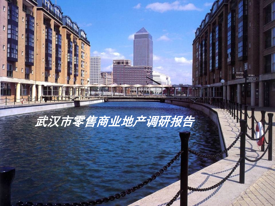 武汉零售商业调研.ppt_第1页