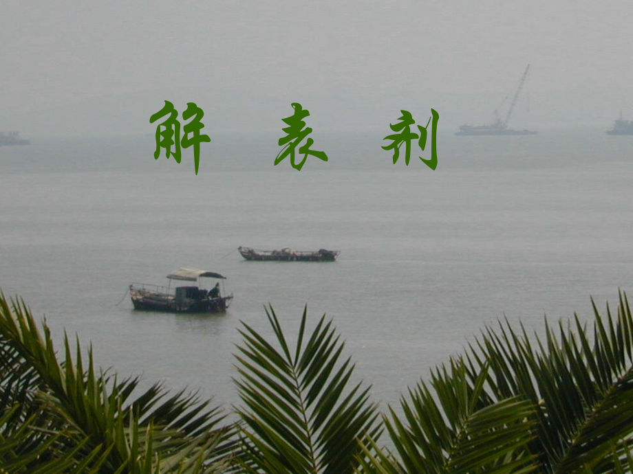 解表剂.ppt.ppt_第1页