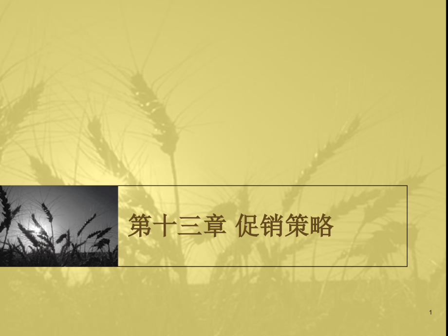第十三章 促销策略.ppt_第1页