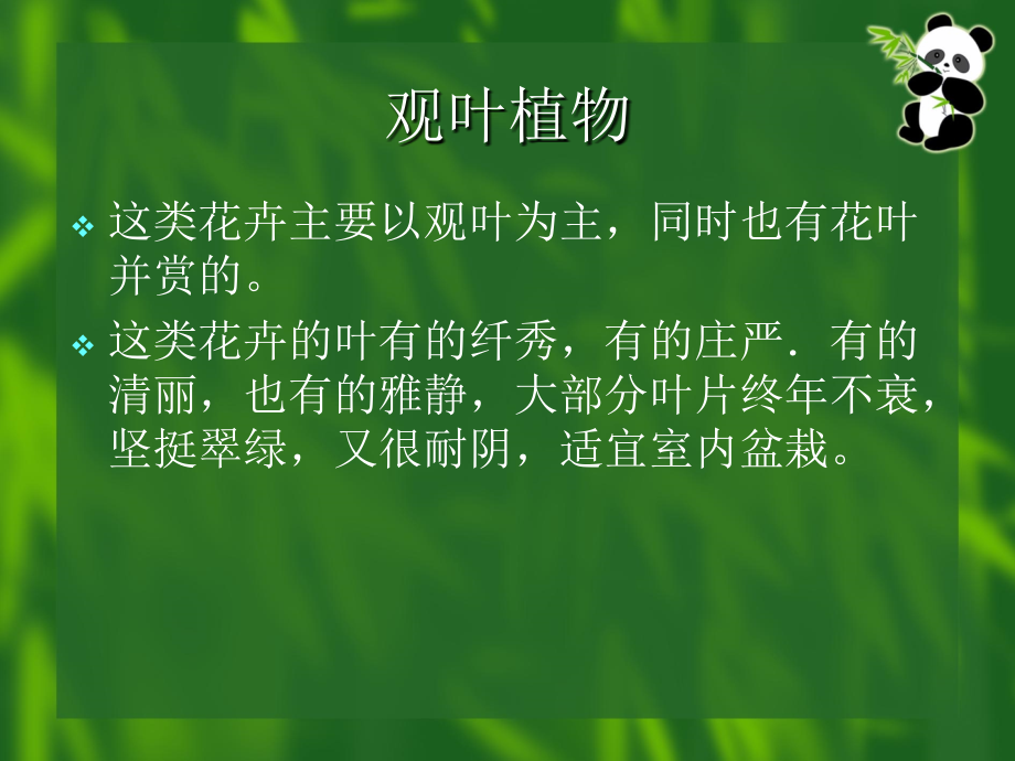 [花卉学]-各论17观叶植物.ppt_第2页