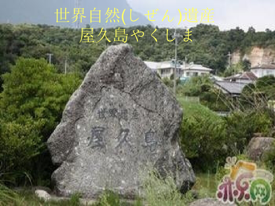 日语ppt 风景类 屋久岛.ppt_第2页
