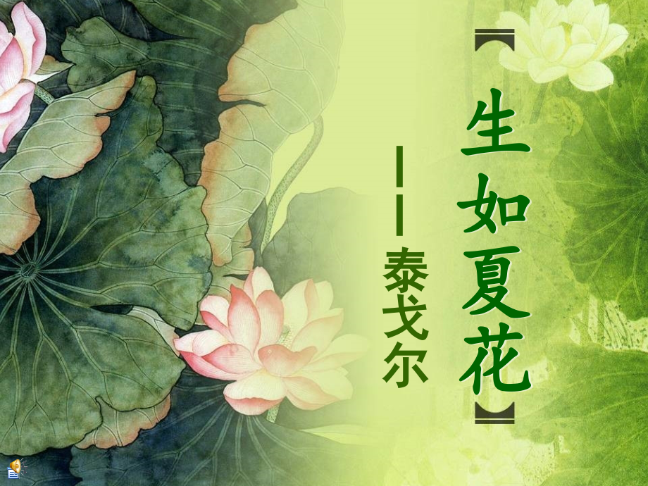 生如夏花1.ppt_第1页