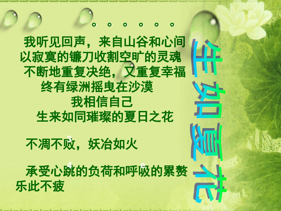 生如夏花1.ppt_第2页
