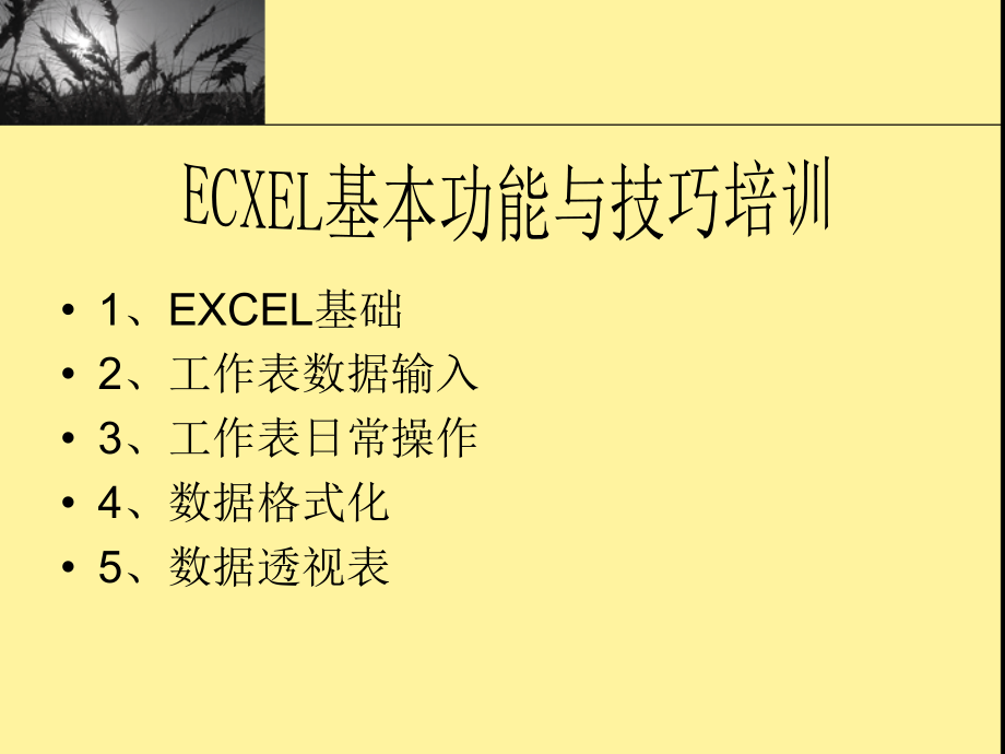 Excel基本功能与技巧培训.ppt_第1页