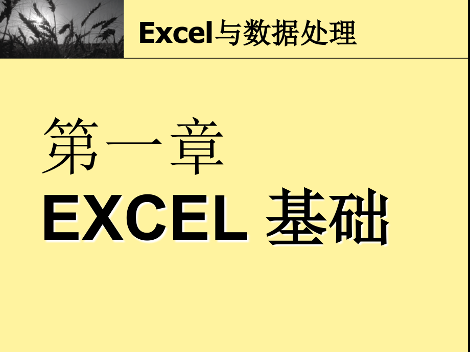 Excel基本功能与技巧培训.ppt_第2页