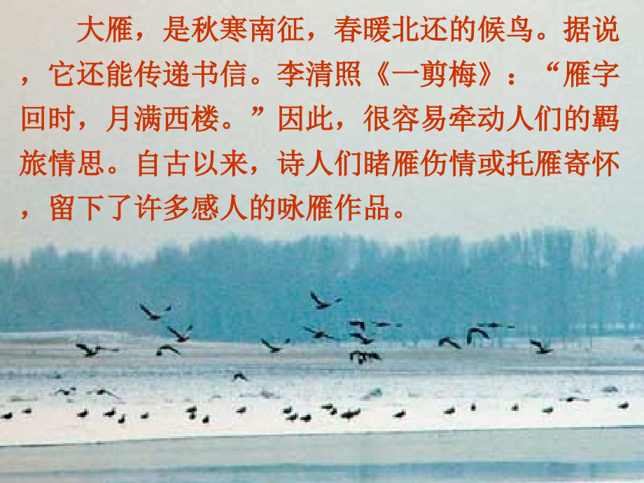 大雁归来_3.ppt_第2页