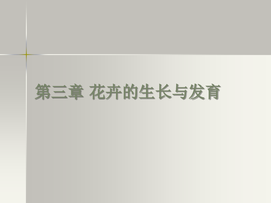 花卉的生长.ppt_第1页