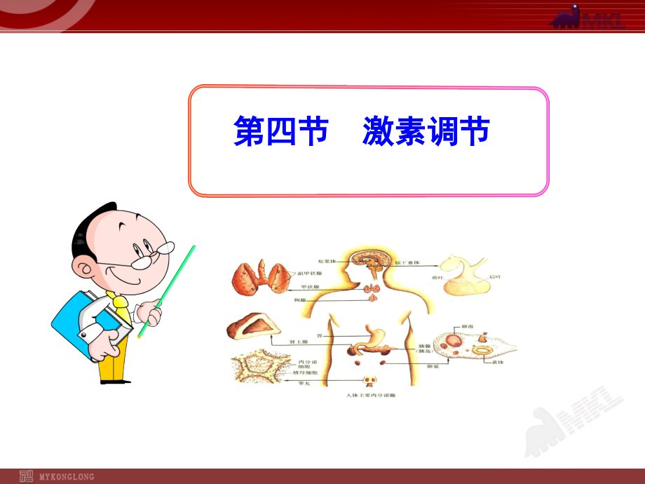 第四节-激素调节.pptx_第1页