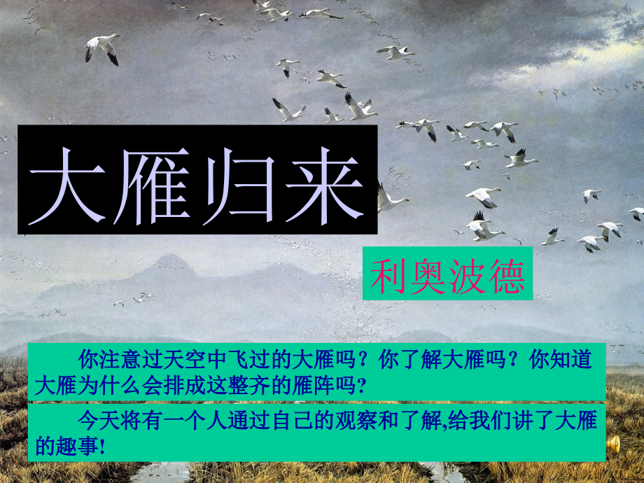 大雁归来1.ppt_第1页
