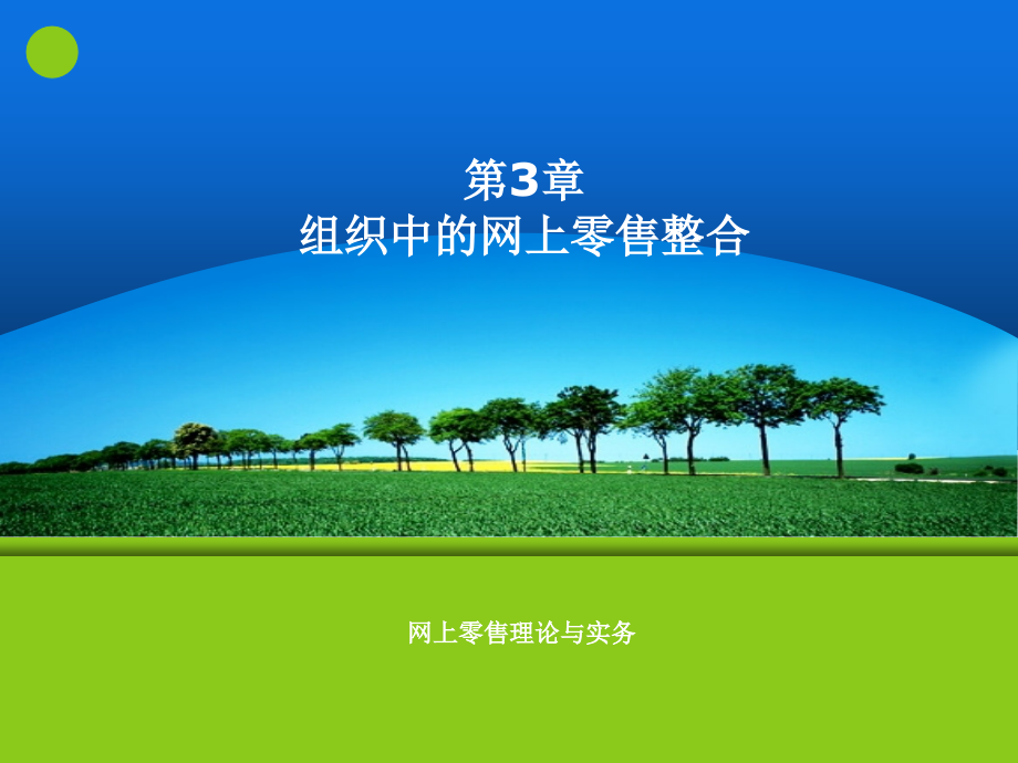 第3章 组织中的网上零售整合.ppt_第1页