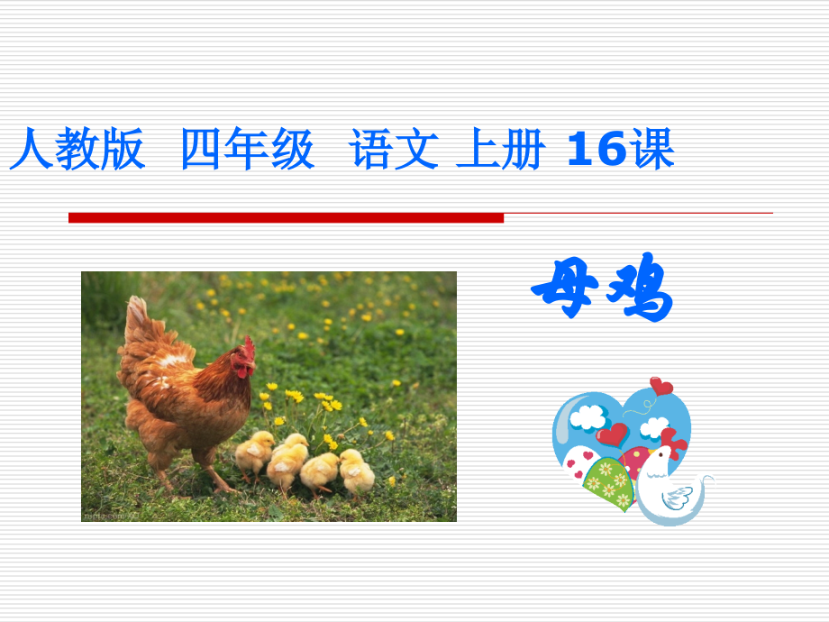 母鸡优秀课件.ppt_第1页