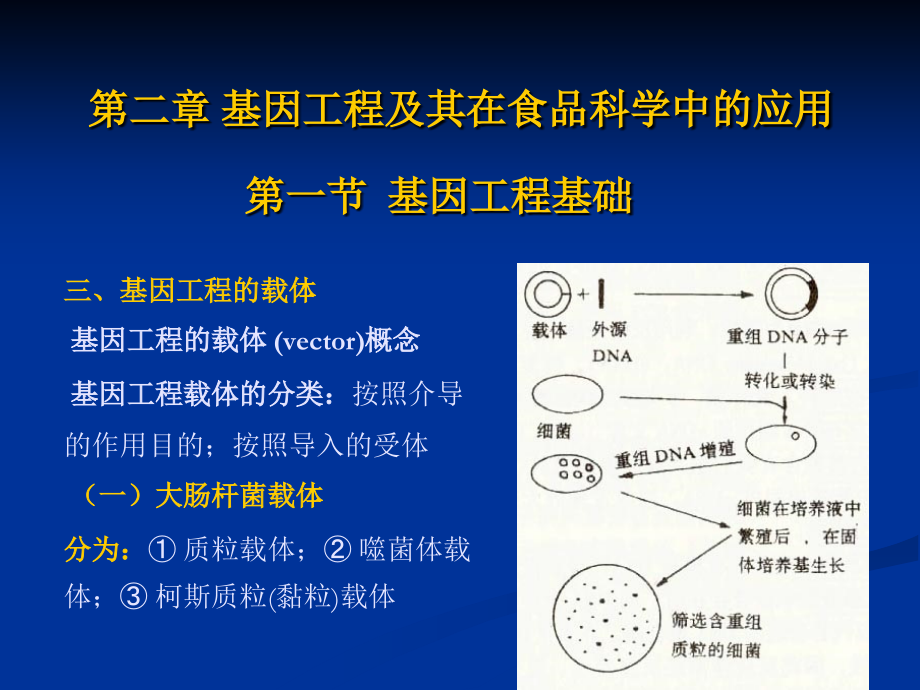 第二章 基因工程及其在食品科学中的应用.ppt_第1页