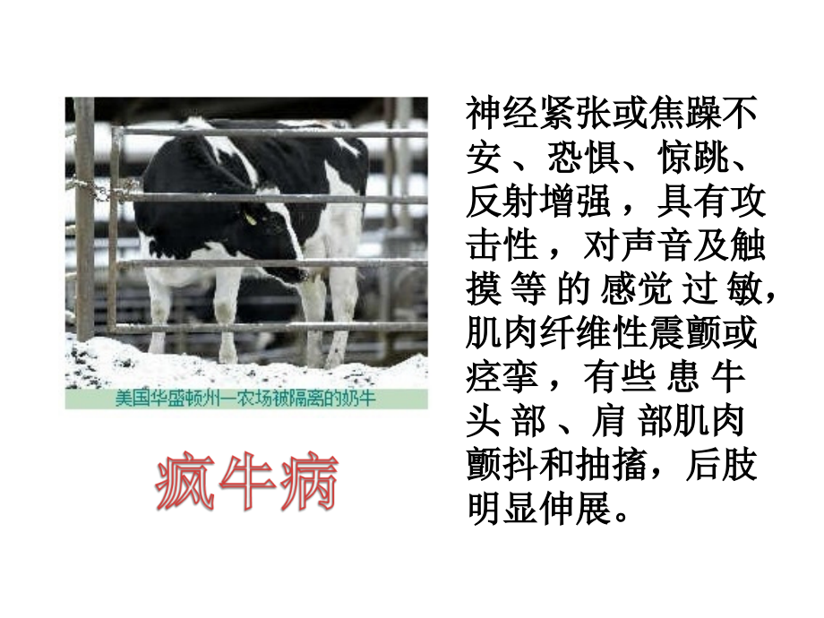 蛋白质感染因子(朊蛋白)的传染机理.ppt_第2页